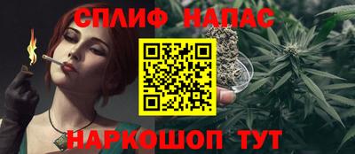 apvp Беслан